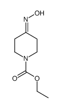 ethyl 4-(hydroxyimino)piperidine-1-carboxylate structure