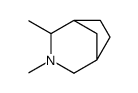 2,3-Dimethyl-3-azabicyclo[3.2.1]octane structure