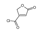 3-Furancarbonyl chloride, 2,5-dihydro-5-oxo- (9CI) structure