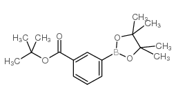 3-(4,4,5,5-四甲基-1,3,2-二氧硼戊烷-2-基)苯甲酸叔丁酯结构式
