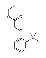 ethyl [2-(1,1-dimethylethyl)phenoxy]acetate Structure