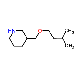 3-[(3-Methylbutoxy)methyl]piperidine Structure