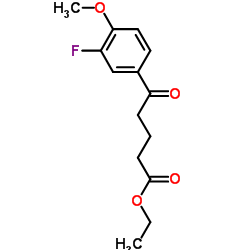 Ethyl 5-(3-fluoro-4-methoxyphenyl)-5-oxopentanoate结构式