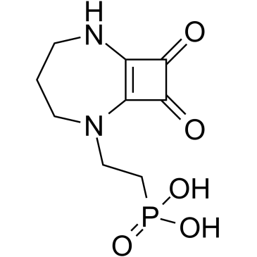 Perzinfotel Structure