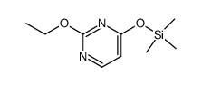 Pyrimidine, 2-ethoxy-4-[(trimethylsilyl)oxy]- (9CI)结构式