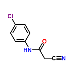 N-(4-Chlorophenyl)-2-cyanoacetamide picture