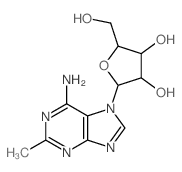 Adenine, 2-methyl-7-b-D-ribofuranosyl- (8CI) Structure