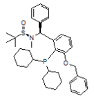 [S(R)]-N-[(S)-[(3-苄氧基-2-(二环己基膦)苯基)苯甲基]-N-甲基-2-叔丁基亚磺酰胺结构式