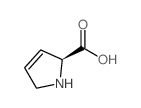 3,4-Dehydro-L-proline picture