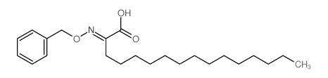 (2E)-2-phenylmethoxyiminohexadecanoic acid结构式