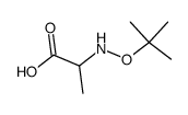 Alanine, N-(1,1-dimethylethoxy)- (9CI)结构式