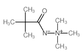 (2,2-dimethylpropanoylamino)-trimethyl-azanium Structure
