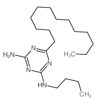 N-butyl-6-tridecyl-1,3,5-triazine-2,4-diamine structure