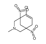 6-chloro-3-methyl-1,5-dinitro-3-azabicyclo[3.3.1]non-6-ene Structure