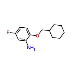 2-(Cyclohexylmethoxy)-5-fluoroaniline结构式