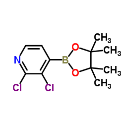 2,3-Dichloropyridine-4-boronic acid pinacol ester picture
