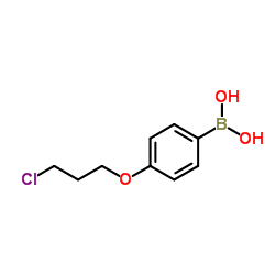 (4-(3-Chloropropoxy)phenyl)boronic acid structure