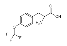 (R)-2-氨基-3-(4-(三氟甲氧基)苯基)丙酸图片