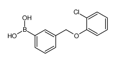 3-(2-氯苯氧基甲基)苯硼酸结构式