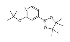 2-叔丁氧基吡啶-4-硼酸频那醇酯结构式