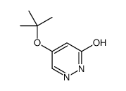 4-[(2-methylpropan-2-yl)oxy]-1H-pyridazin-6-one Structure