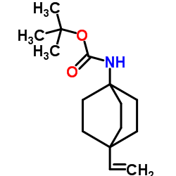 2-Methyl-2-propanyl (4-vinylbicyclo[2.2.2]oct-1-yl)carbamate Structure