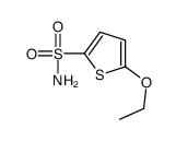 2-Thiophenesulfonamide,5-ethoxy-(9CI) picture