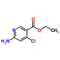 Ethyl 6-amino-4-chloronicotinate图片