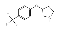 3-[4-(trifluoromethyl)phenoxy]pyrrolidine picture