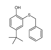2-benzylsulfanyl-4-tert-butylphenol Structure