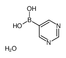 Pyrimidine-5-boronic acid hemihydrate picture