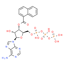 naphthoyl-ATP结构式