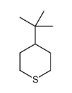 4-tert-butylthiane Structure