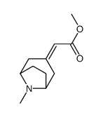 methyl 2-(8-methyl-8-azabicyclo[3.2.1]octan-3-ylidene)acetate结构式