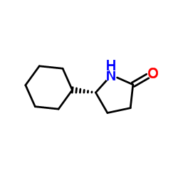 (5R)-5-Cyclohexyl-2-pyrrolidinone Structure