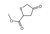 2-Thiophenecarboxylicacid,tetrahydro-4-oxo-,methylester(7CI,9CI) Structure
