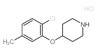 4-(2-Chloro-5-methylphenoxy)piperidine hydrochloride结构式