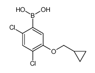 24-二氯-5-(环丙基甲氧基)苯硼酸结构式