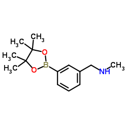 N-methyl-3-(4,4,5,5-tetramethyl-1,3,2-dioxaborolan-2-yl)-benzenemethanamine picture