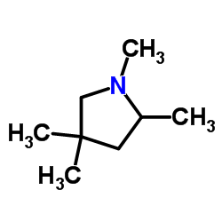 Pyrrolidine, 1,2,4,4-tetramethyl- (9CI) structure