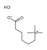 5-carboxypentyl(trimethyl)azanium,chloride结构式