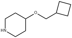 4-(cyclobutylmethoxy)piperidine结构式