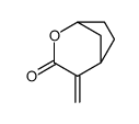 2-methylidene-4-oxabicyclo[3.2.1]octan-3-one Structure