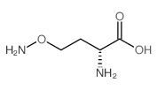 (R)-2-AMINO-4-(AMINOOXY)BUTANOIC ACID结构式