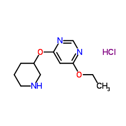 4-Ethoxy-6-(piperidin-3-yloxy)-pyrimidine hydrochloride structure