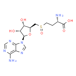 SAHO Structure