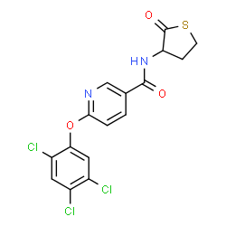 N-(2-Oxotetrahydro-3-thiophenyl)-6-(2,4,5-trichlorophenoxy)nicotinamide结构式