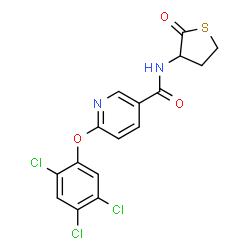 N-(2-Oxotetrahydro-3-thiophenyl)-6-(2,4,5-trichlorophenoxy)nicotinamide structure