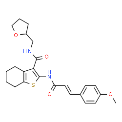 (E)-2-(3-(4-methoxyphenyl)acrylamido)-N-((tetrahydrofuran-2-yl)methyl)-4,5,6,7-tetrahydrobenzo[b]thiophene-3-carboxamide Structure