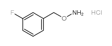 O-(3-fluorobenzyl)hydroxylamine hydrochloride picture